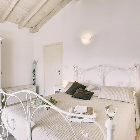 Modern In With Garden Pola